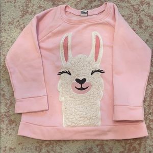 Pink llama